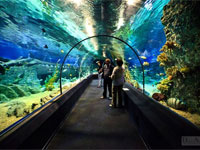  "Sochi Discovery World Aquarium"